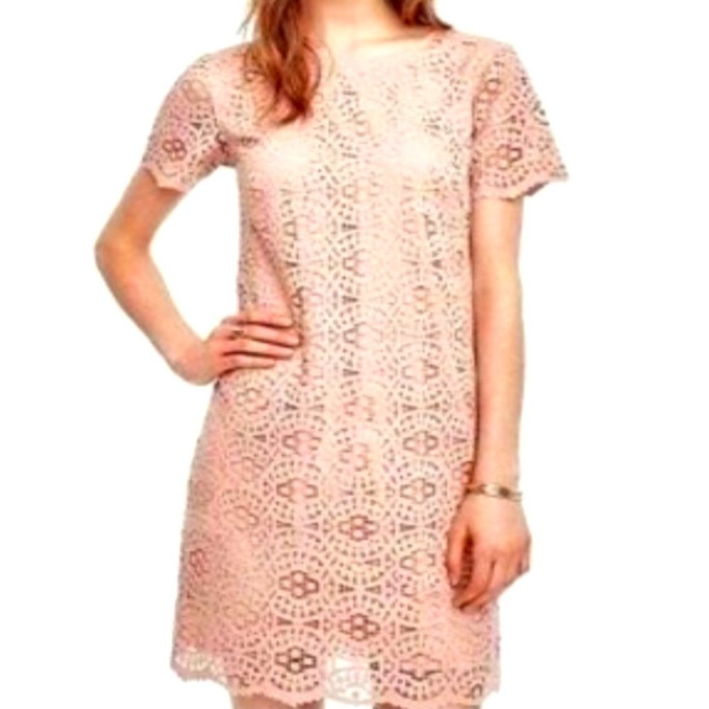 ⭐️HOST PICK⭐️Ann Taylor Mosaic Lace Dress Pale Pink/Mauve